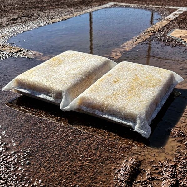 Beacon Case/10 Ball Field Puddle Sponges