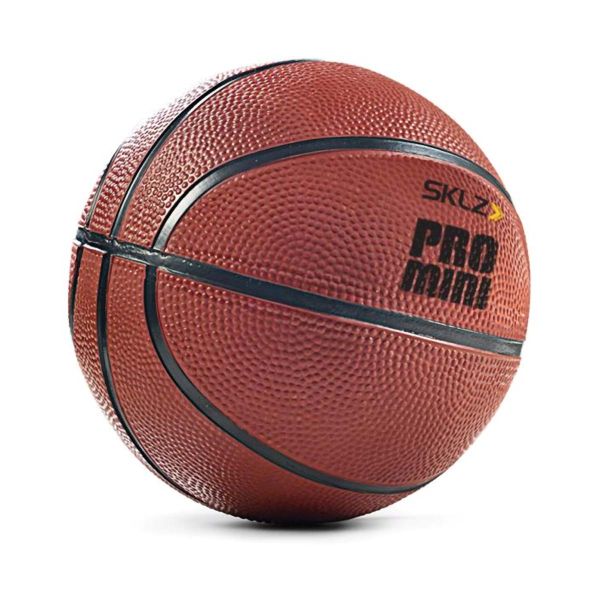 SKLZ Pro Mini Hoop Ball					