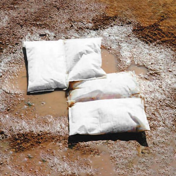 Trigon Case/10 Ball Field Puddle Pillows