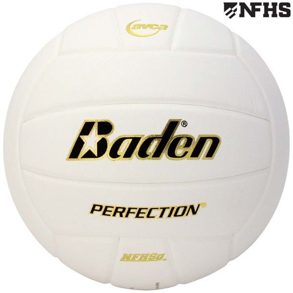 Baden VX5E Perfection 15-0 Leather Game Volleyball, WHITE