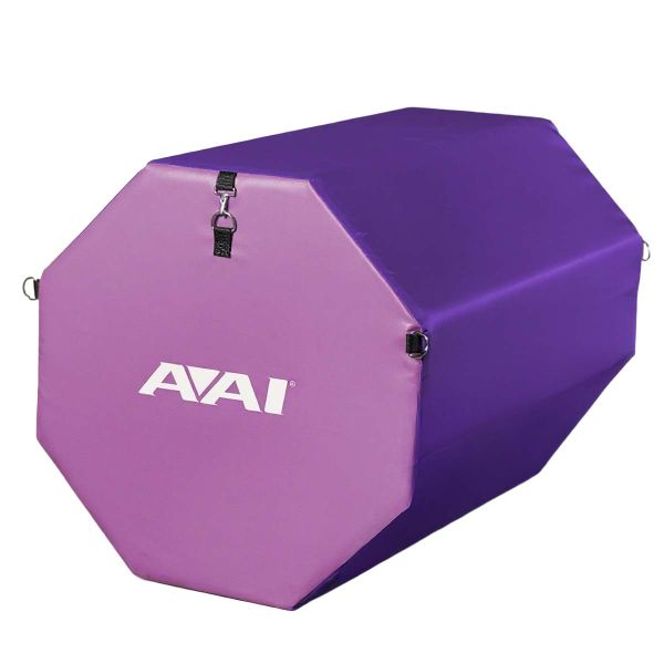 AAI Octagon Gymnastics Development Trainer