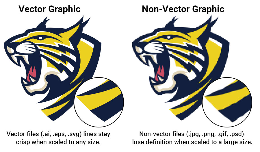 What is a vector graphic?